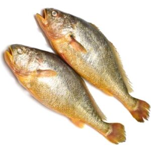 DHOMA